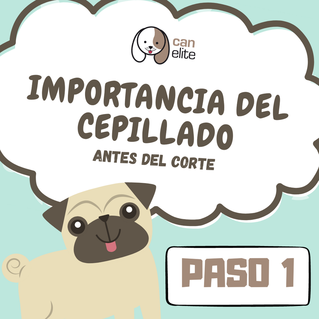 La importancia del cepillado antes del corte