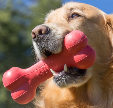 Kong Goodie Bone