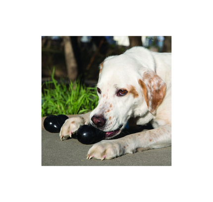 Kong Goodie Bone Extreme