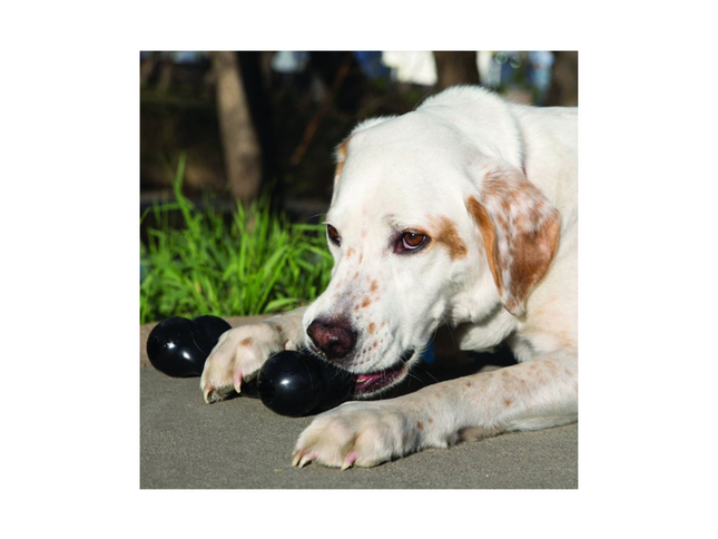 Kong Goodie Bone Extreme