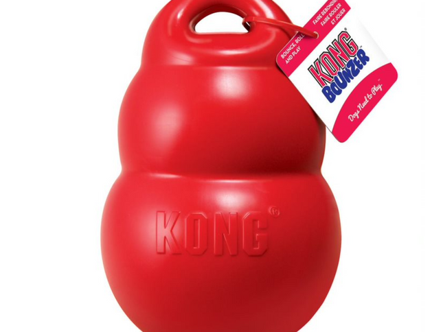 KONG Bounzer