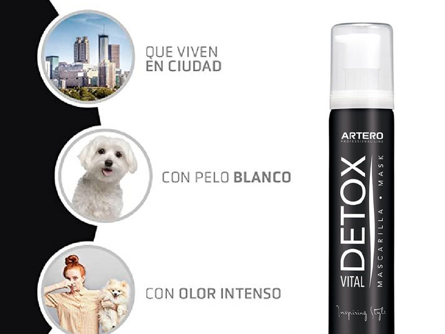 Artero Mascarilla Detox Carbon Activo