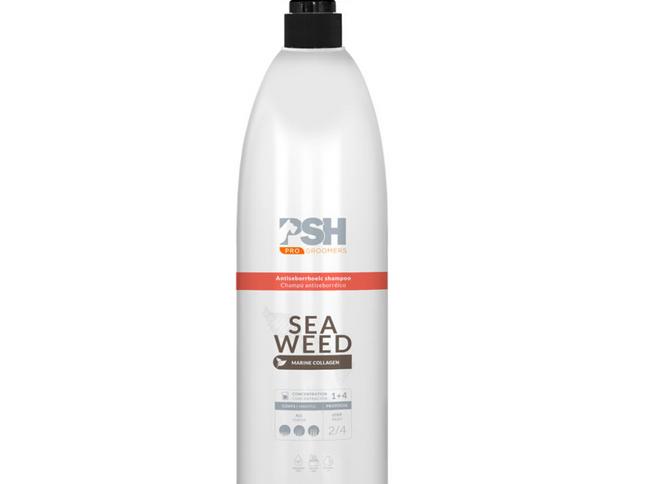 PSH Shampoo Seaweed (Antiseborréico)