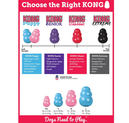 KONG Puppy