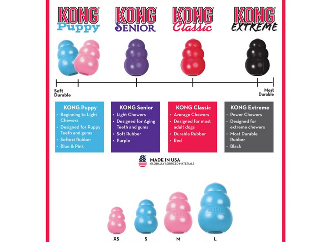 KONG Puppy