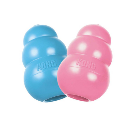KONG Puppy