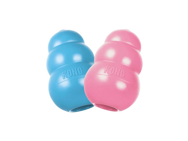 KONG Puppy