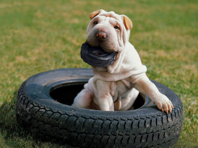 KONG Tires