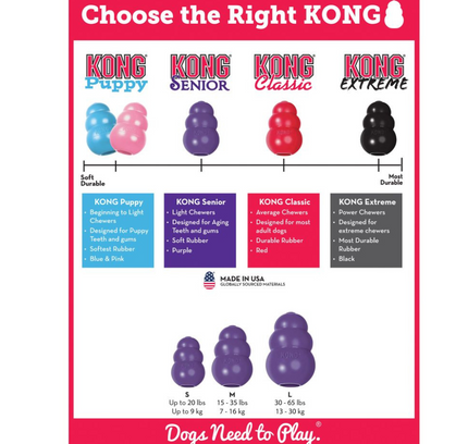 KONG Senior