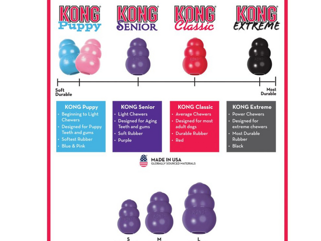 KONG Senior