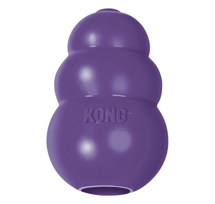 KONG Senior