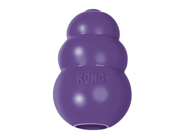 KONG Senior