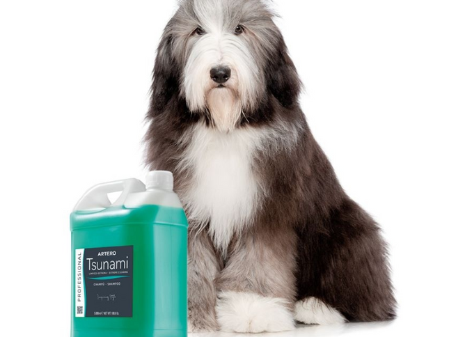 Artero Shampoo Tsunami 5L