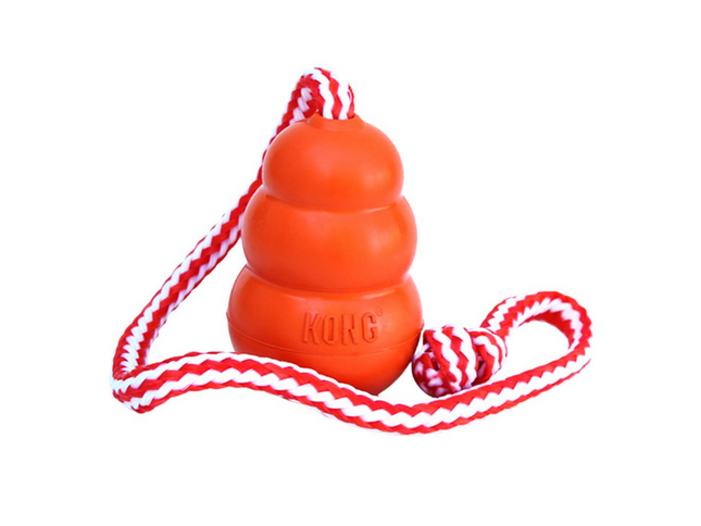 Kong Aqua L