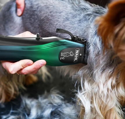 Maquina Inalambrica Groomlite WAHL Hogar