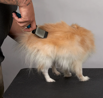 Carda flexible doble cara Master Grooming