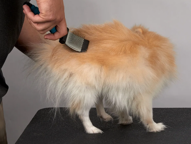 Carda flexible doble cara Master Grooming