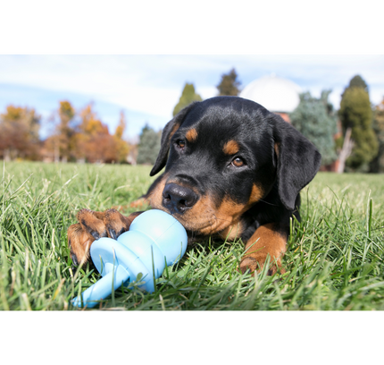 KONG Puppy Binkie