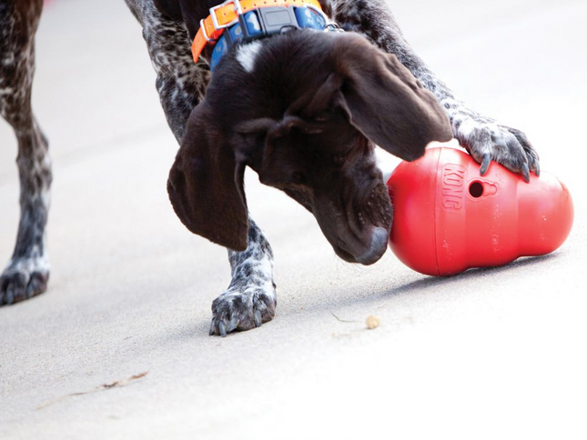KONG Wobbler