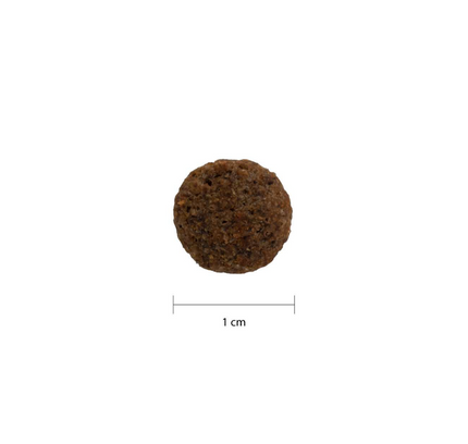 PRODEN PLAQUEOFF® SNACK DENTAL GATO