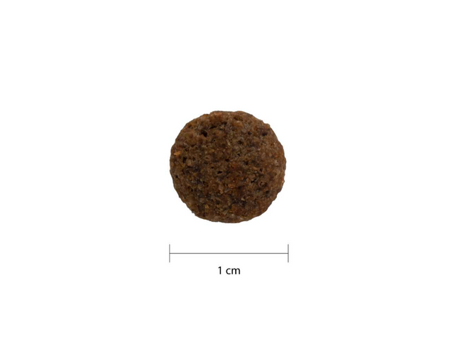 PRODEN PLAQUEOFF® SNACK DENTAL GATO