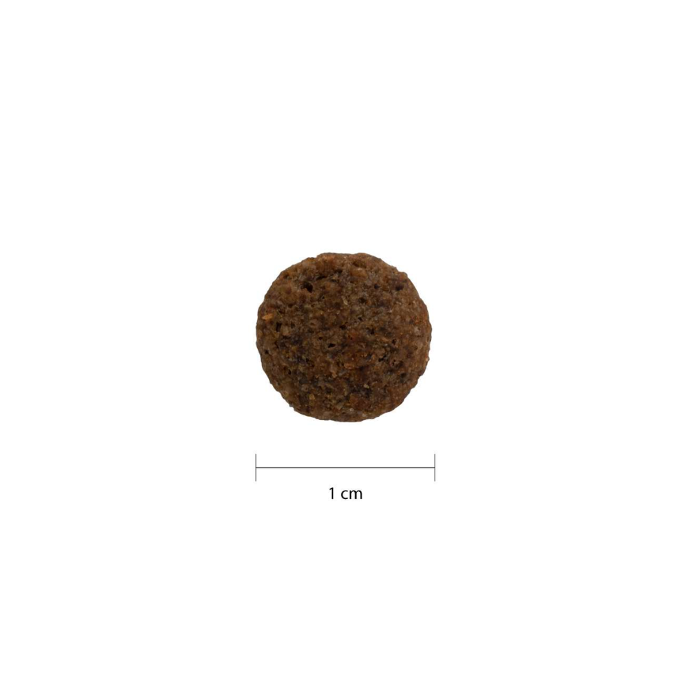 PRODEN PLAQUEOFF® SNACK DENTAL GATO