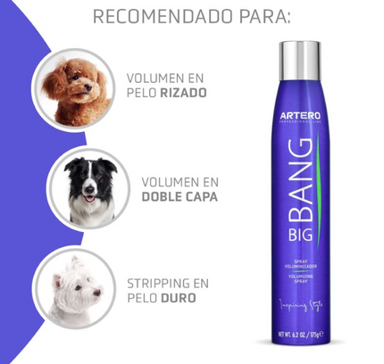 Artero Big Bang Voluminizador 150ml