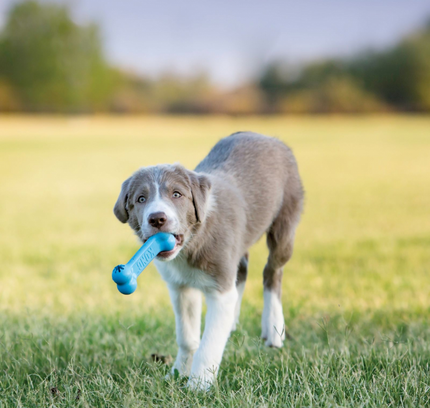 KONG Goodie Bone Puppy S