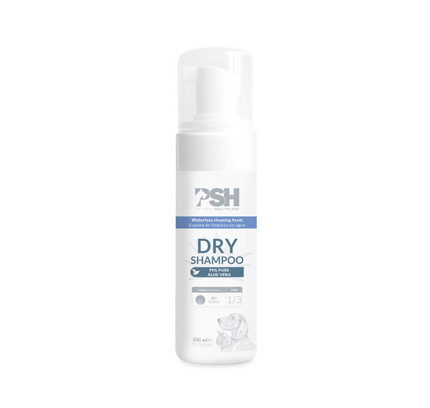 Champu en seco DRY 200ml PSH