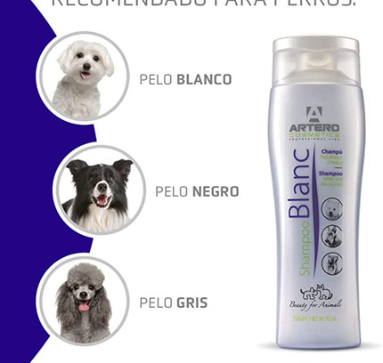 Artero Champú Blanc