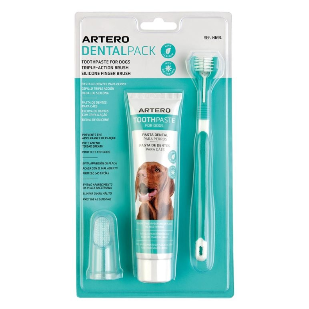 Artero Dental Pack Smile