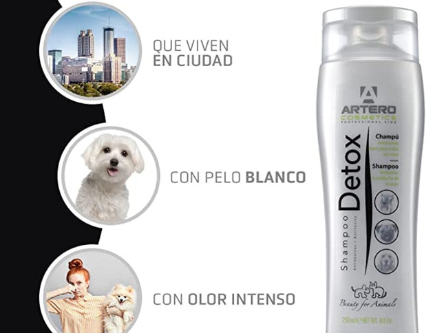 Artero Champú Detox Carbon Activo