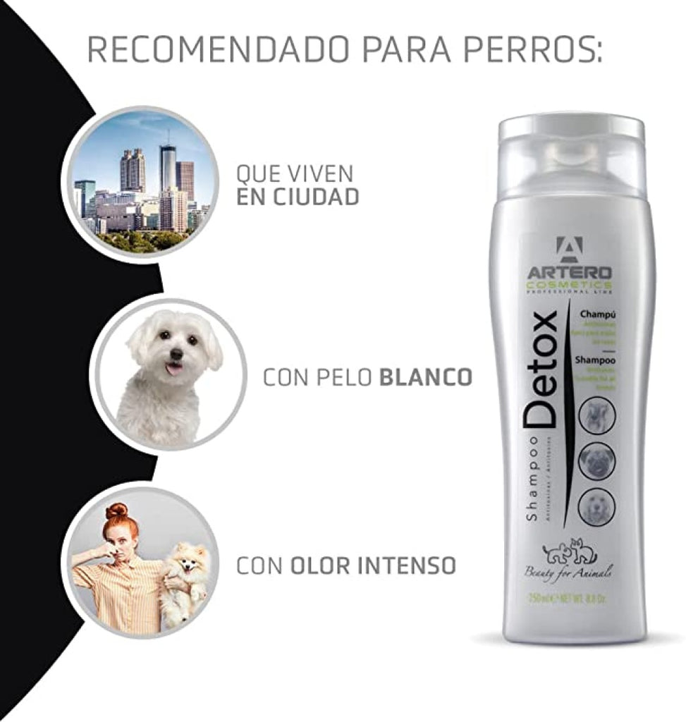Artero Champú Detox Carbon Activo