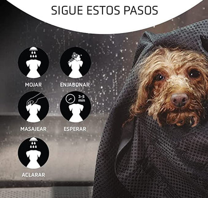 Artero Mascarilla Detox Carbon Activo