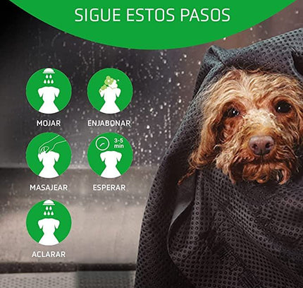 Artero Shampo Basic 5L