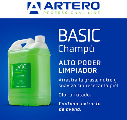 Artero Shampo Basic 5L