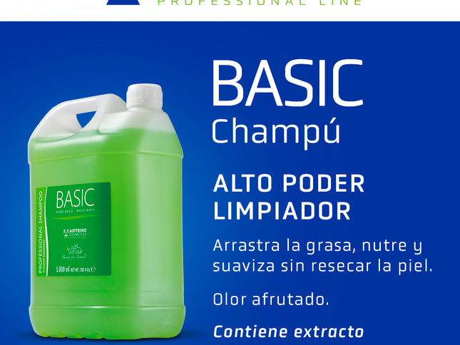Artero Shampo Basic 5L