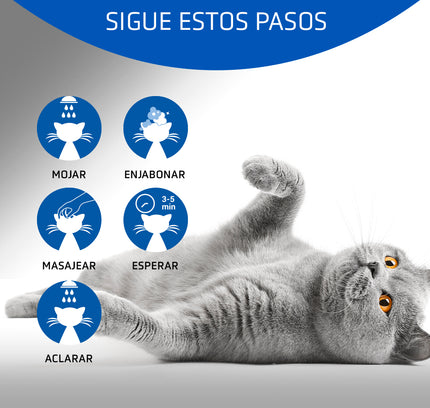 Artero Shampoo 4Cat 250ml