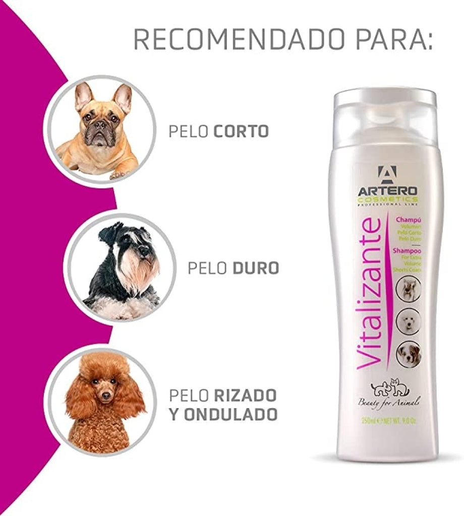 Artero Champú Vitalizante
