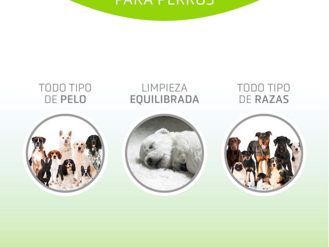 Artero Shampo Basic 5L