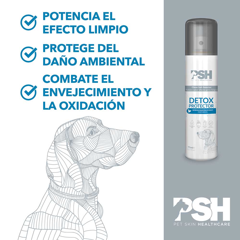 PSH Detox Protector (Antioxidante)