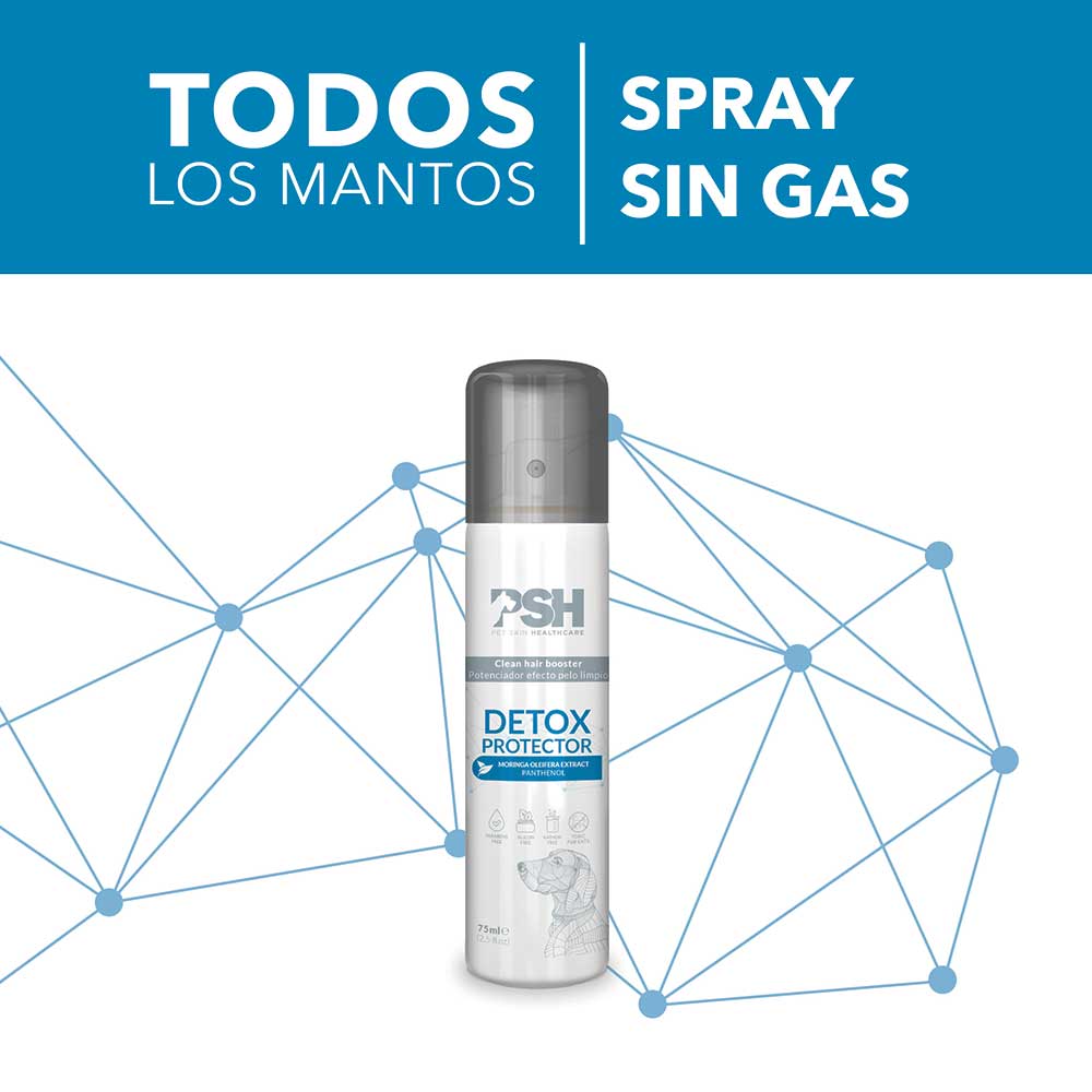 PSH Detox Protector (Antioxidante)