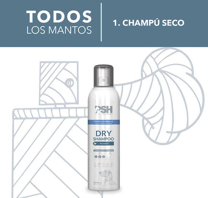PSH Shampoo en Seco Dry Shampoo 300ml