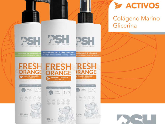 PSH Acondicionador Fresh Orange Hogar 300ml (Manto Largo)