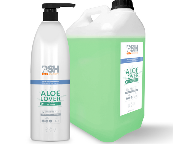 PSH Shampoo Aloe Lover (Hidratante) – Canelite