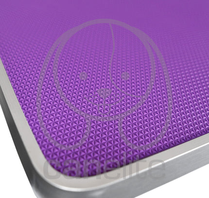 Mesa con Altura Regulable GroomPet