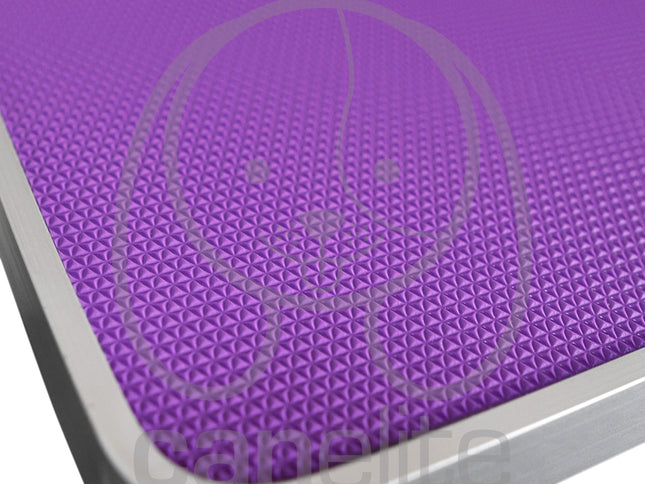 Mesa con Altura Regulable GroomPet