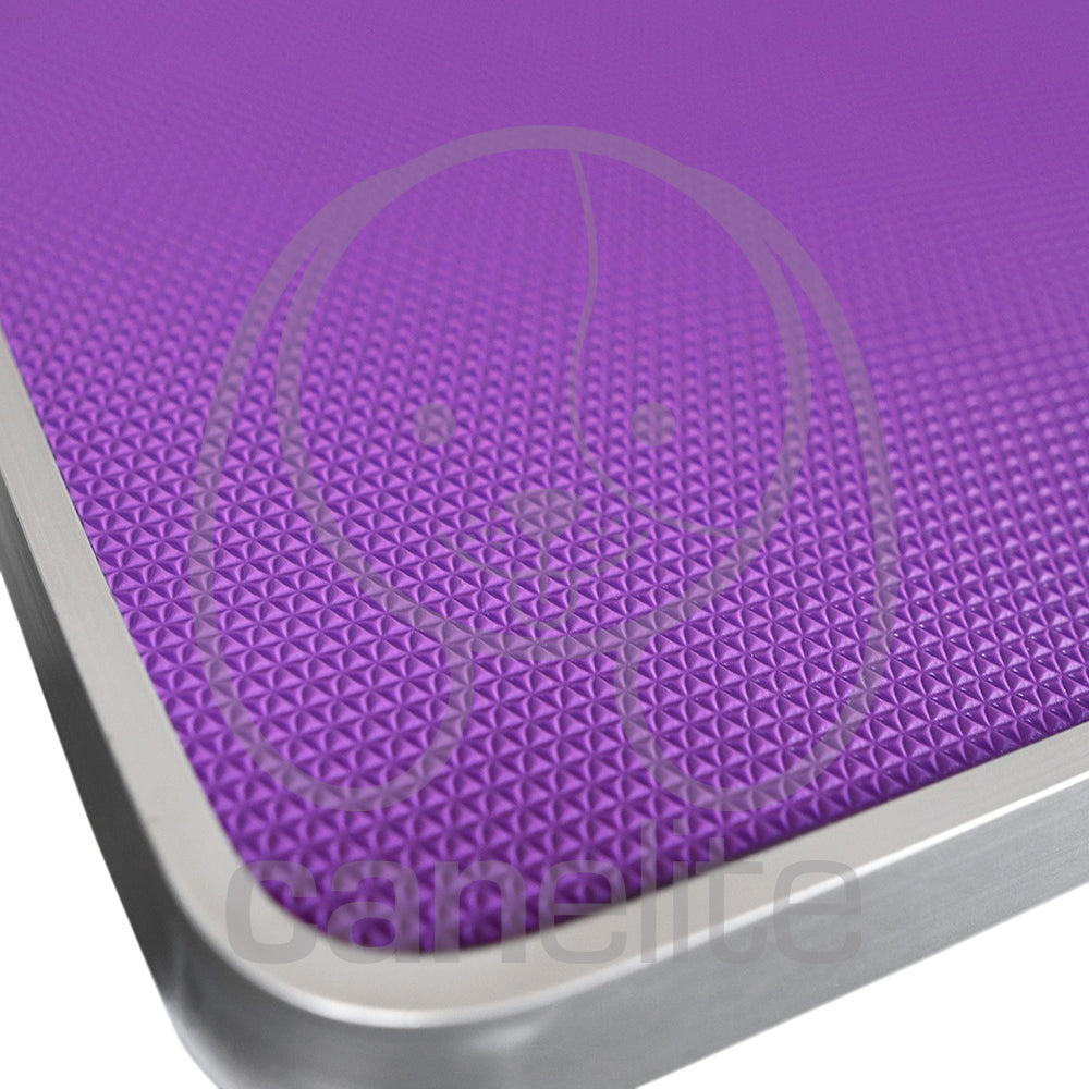 Mesa con Altura Regulable GroomPet