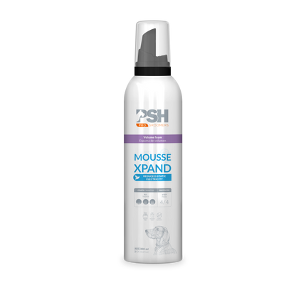 PSH Mousse Xpand 300ml
