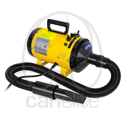 Turbina Special Blaze Groompet